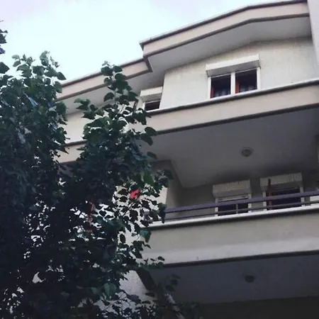 A Boutique Duplex Flat In The Area In Apartment Ankara